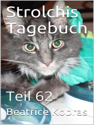 cover image of Strolchis Tagebuch--Teil 62